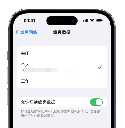 丰顺苹果维修服务分享如何在iPhone上使用双卡 